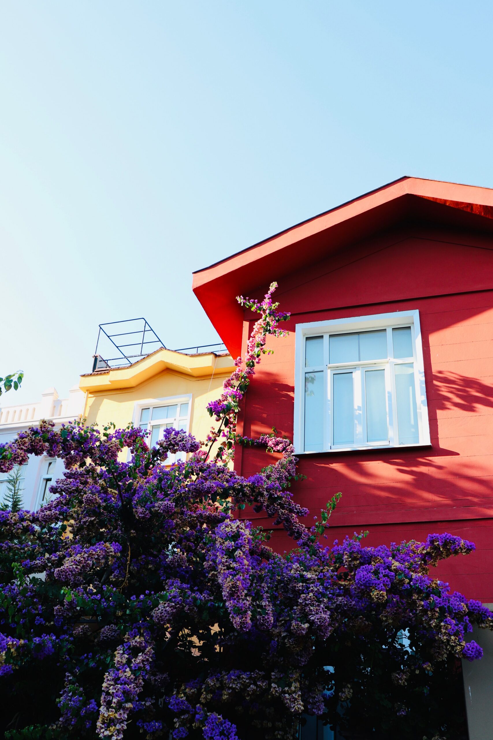 Façade rouge et claire avec végétation.